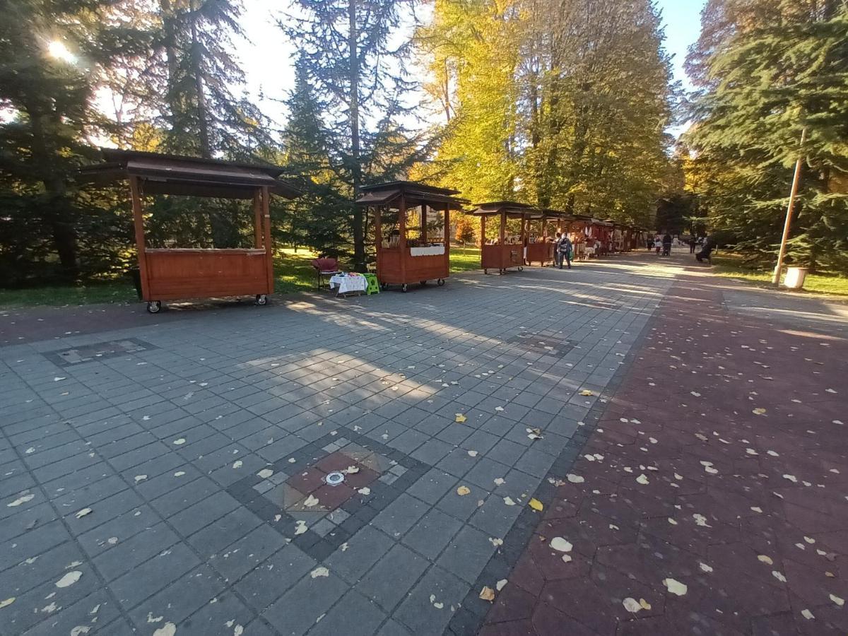 Apartman Lavanda Banja Koviljača Esterno foto