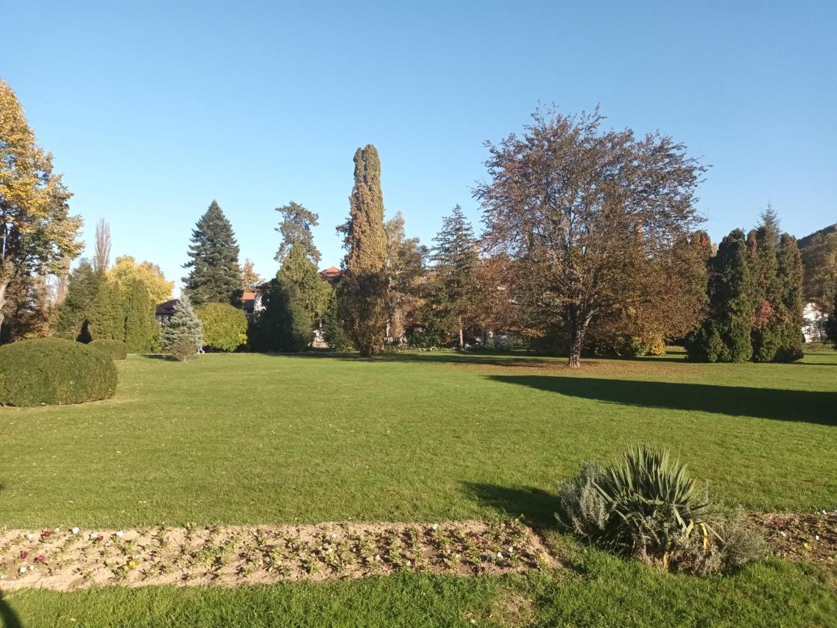 Apartman Lavanda Banja Koviljača Esterno foto