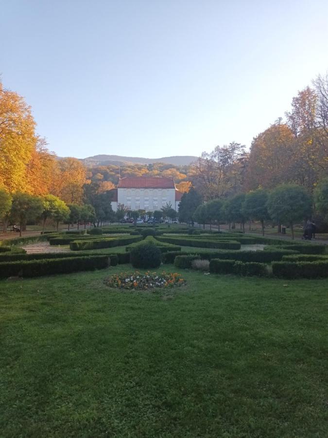 Apartman Lavanda Banja Koviljača Esterno foto