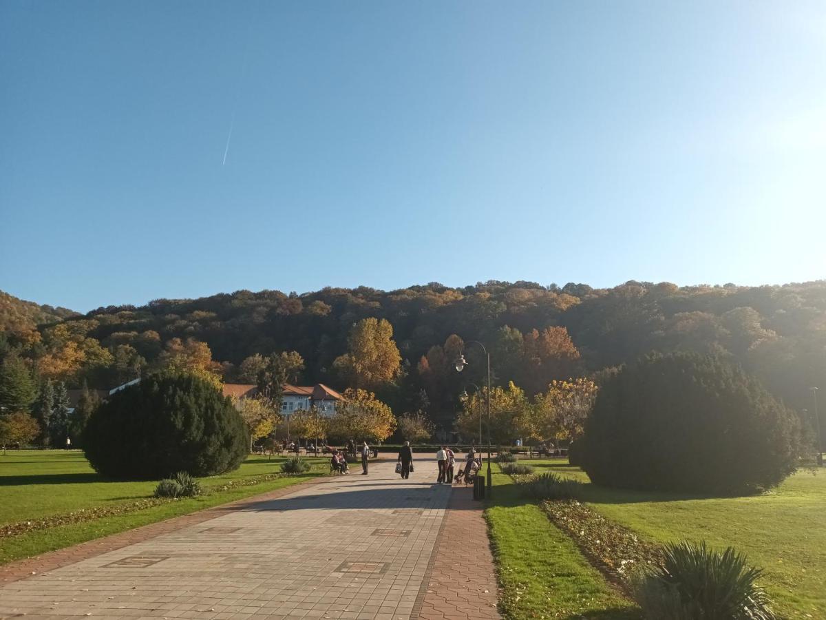 Apartman Lavanda Banja Koviljača Esterno foto