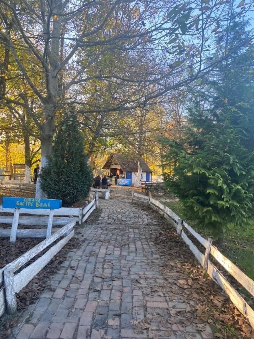 Apartman Lavanda Banja Koviljača Esterno foto