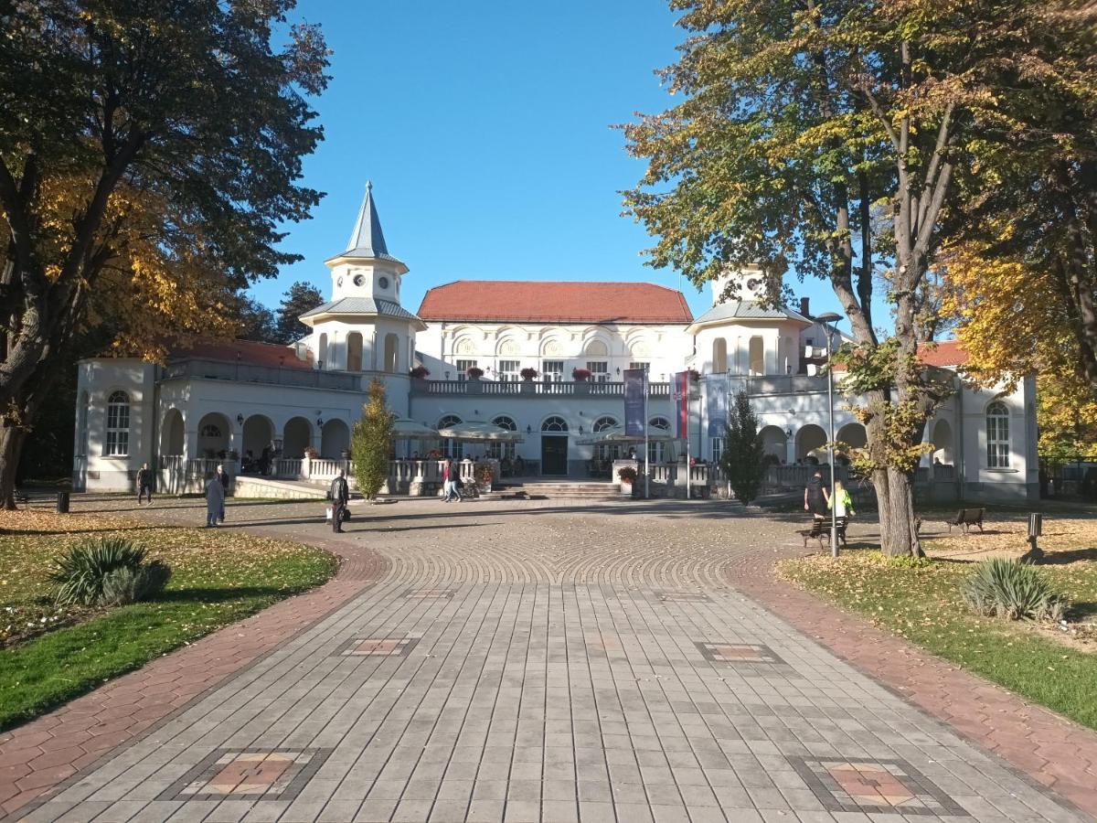 Apartman Lavanda Banja Koviljača Esterno foto