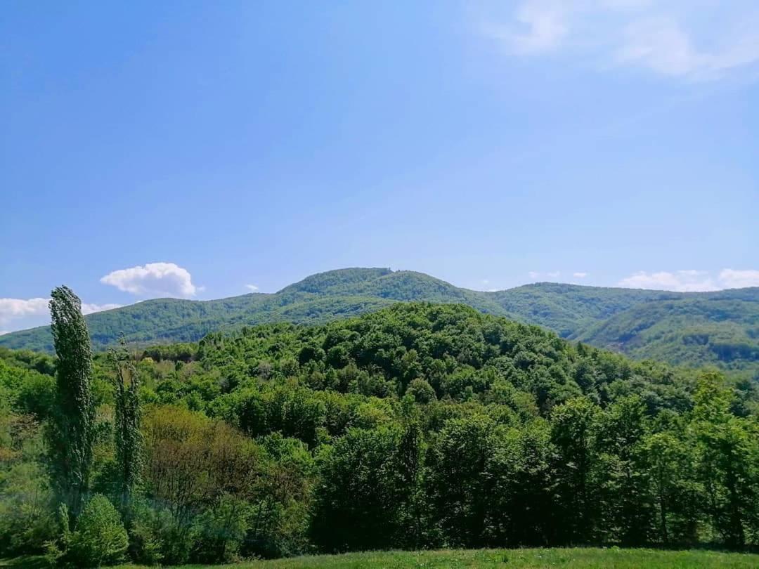 Apartman Lavanda Banja Koviljača Esterno foto