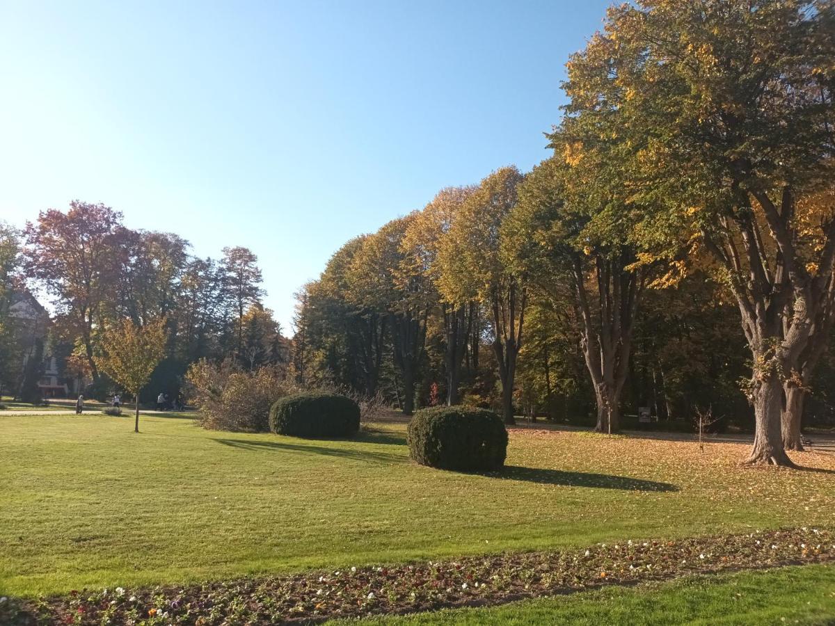Apartman Lavanda Banja Koviljača Esterno foto